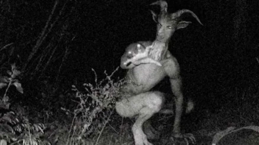 Lorem ipsum dolor sit amet consectetur adipiscing elit. Quisque faucibus ex sapien vitae pellentesque sem placerat. In id cursus mi pretium tellus duis convallis. Tempus leo eu aenean sed diam urna tempor. Pulvinar vivamus fringilla lacus nec metus